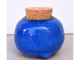 Saltpod by Kim Markham