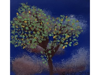 The Tree on Kuakini by C Rice