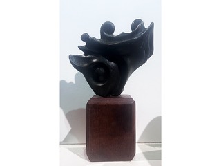 Family by Jerry Vasconcellos