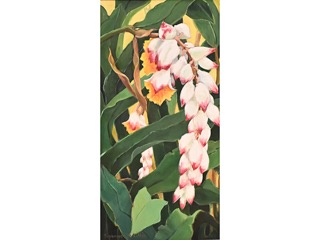 Hawaiian Floral by Suzanne deCilliea