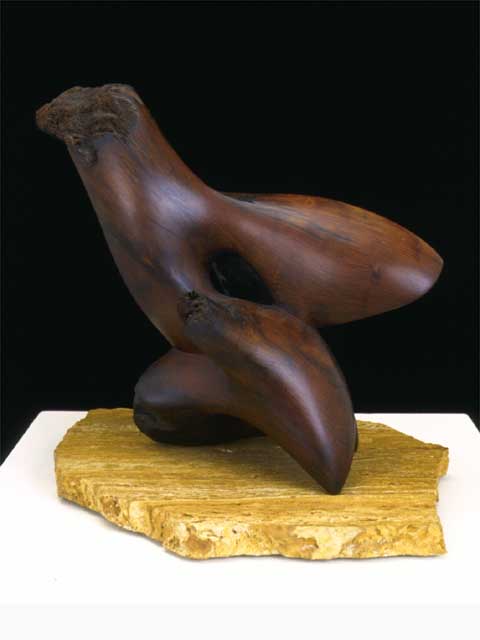 Waterbaby  by Kim Duffett