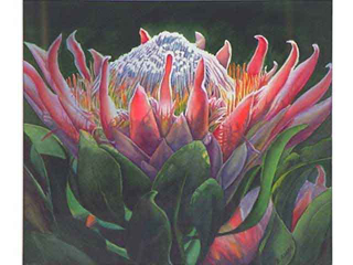 Passion For Protea by Bridgette Adams