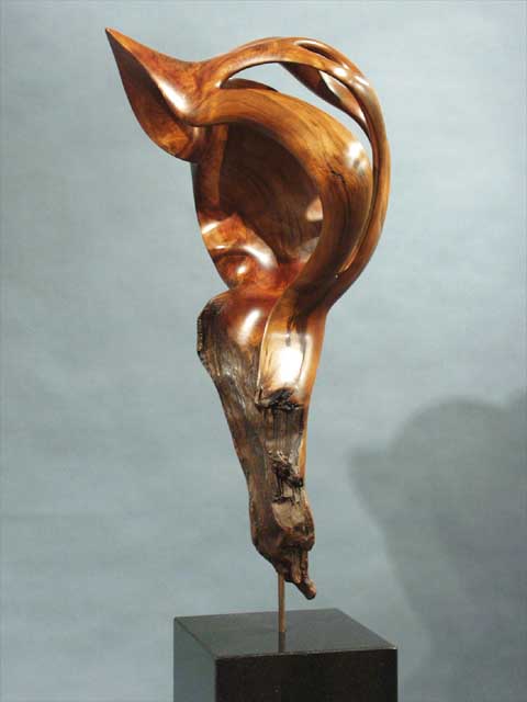 Phoenix by Kim Duffett