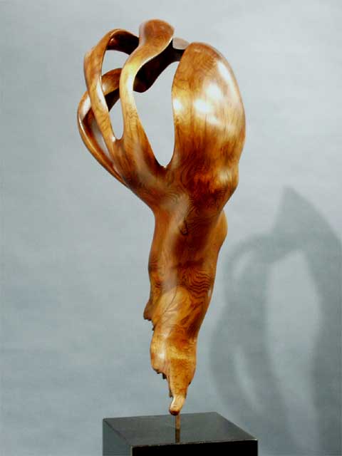Phoenix by Kim Duffett (View 3)