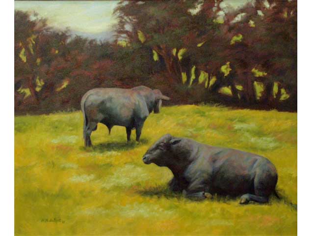 Brangus Bulls by Nicole Dupont