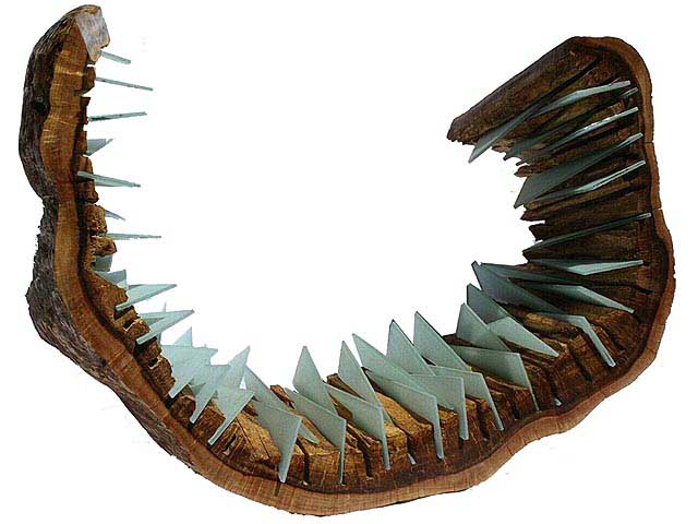 Nihoa Pi'o  (Jagged Curve) by Lee A. Walker Shepherd (View 2)