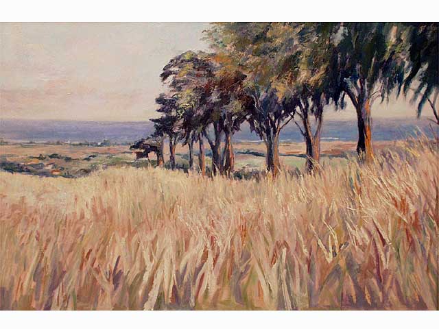 Waialua Sentinels  by Warren Stenberg