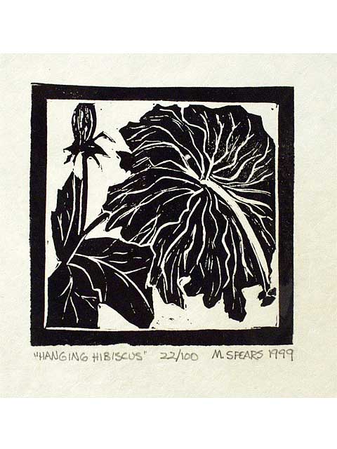 Hanging Hibiscus by Mary Spears