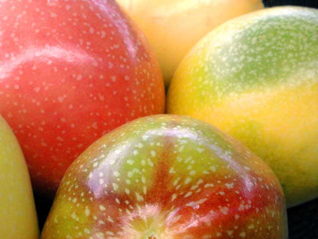 Passion Fruit by Joan Dubanoski