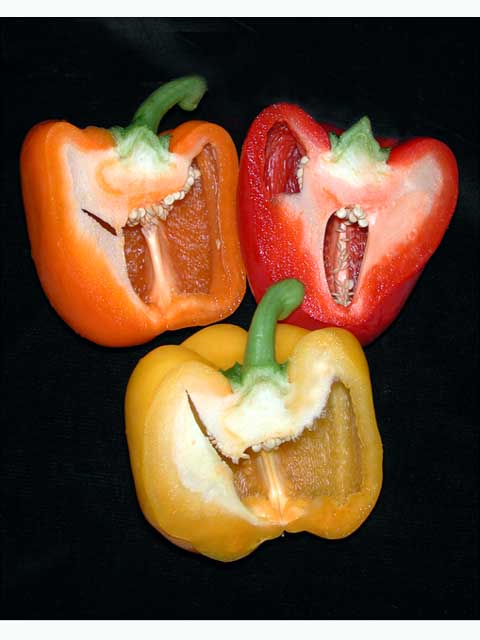 Jack O'Peppers by Joan Dubanoski