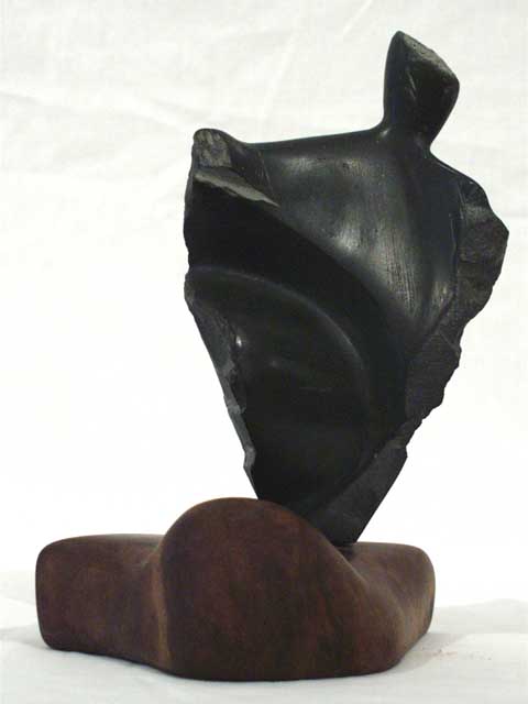 Duo by Jerry Vasconcellos