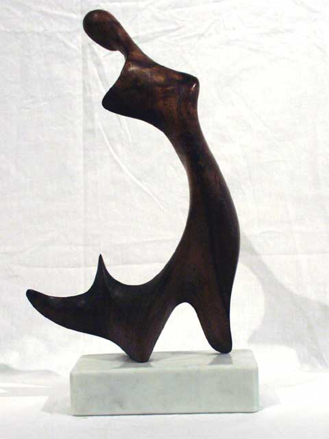 Fish Person by Jerry Vasconcellos