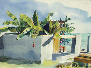 Bananas at Viare Harbour by Steve Bettman