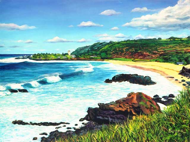 Waimea Bay by Lynne Boyer