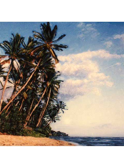 Diamond Head Beach by Marcia Duff