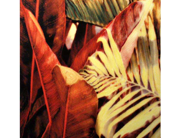 Heliconia & Palms by Marcia Duff