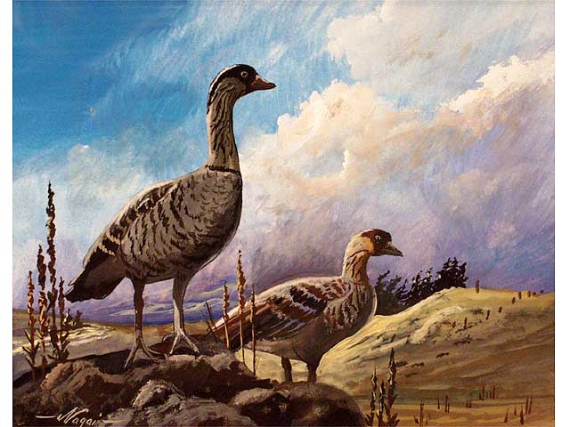 Nene by Norman Nagai