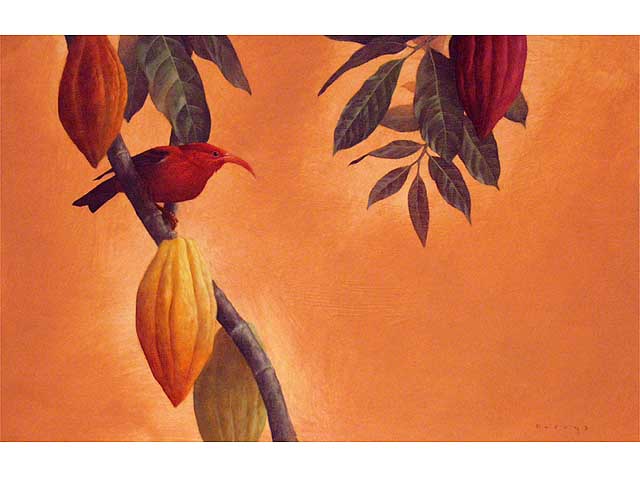 'I'iwi Cacao by Michael Furuya