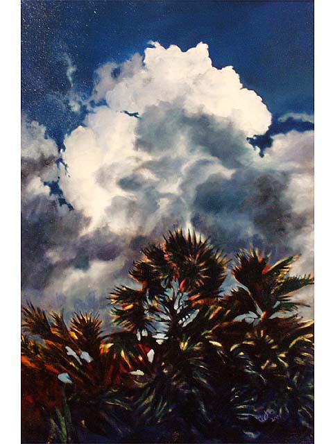 Thunder Cloud by Claudia Wallace