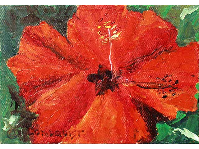 Hula Hibiscus by Dawn Lundquist