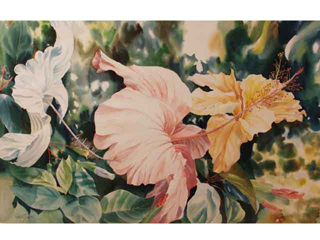 Hibiscus by Peter Jacka