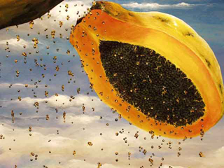 Seeding the Clouds (Pray for Rain) by Sandra Blazel (View 2)