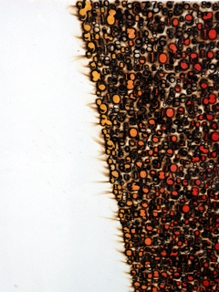 Homage to Barnett II by Deborah Nehmad (View 2)