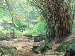 Bamboo Patch by Fred  Salmon