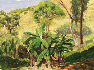 Banana Patch #1 by Fred  Salmon