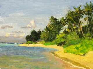Kahala Beach by Fred  Salmon