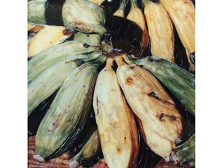Bananas by Marcia Duff