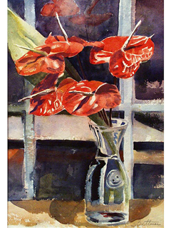 Anthuriums by Steve Bettman