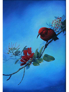 Apapane on Blue by Michael Furuya