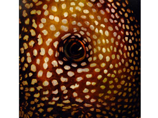 Digitalook I by Carol Bennett