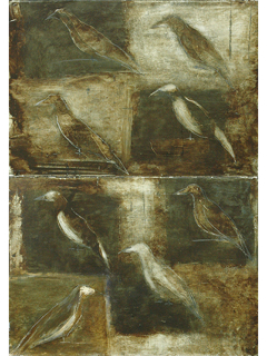 Eight Birds by Jodi Endicott