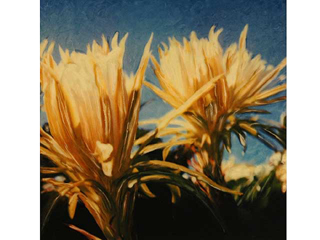 Night Blooming Cereus by Marcia Duff