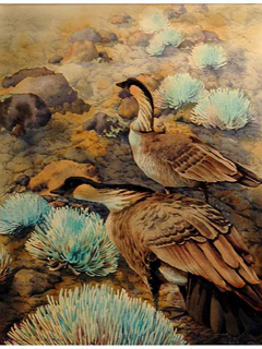 Nene by Jackie Black