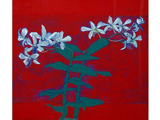 The Orchid What I Grew by Nance Lili McManus