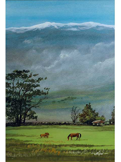 Kamuela by Norman Nagai
