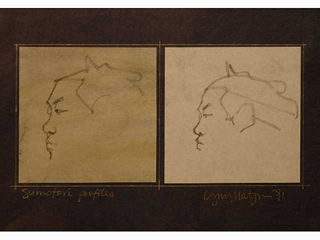 Sumotori Profiles by Lynn Matsuoka