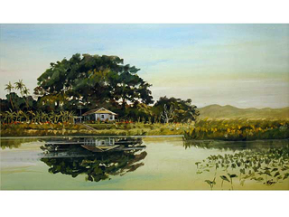 Abandoned Taro Patch by Norman Nagai