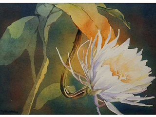 Night Bloomer by Ruth Watkins