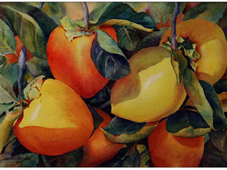 Persimmons by Ruth Watkins