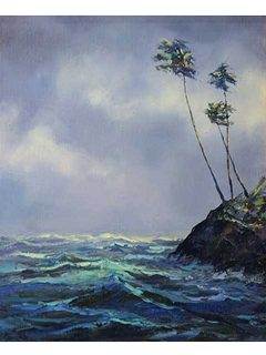 Waimea by Michael Powell