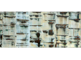 Timbered Dan by Mary Mitsuda