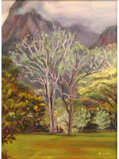 Hoomaluhia Study by Lynne Boyer
