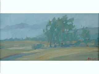 Mist Waimea, HI by Kelly Sueda