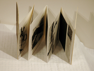 The Haiku of Birds by Chris  Mitts (View 3)