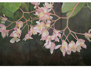 Pink Lace by Mark Kadota