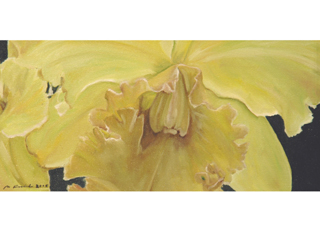 Yellow Orchids by Mark Kadota